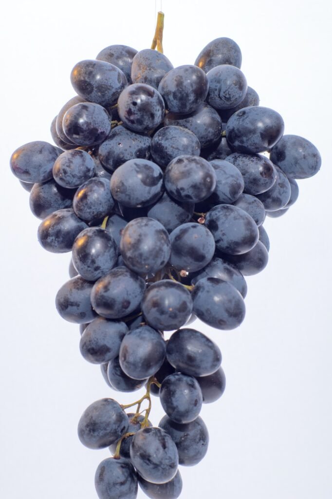 Fresh grape bunch learn their heath benefits